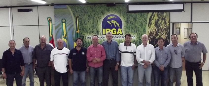 reunião irga sementes de arroz