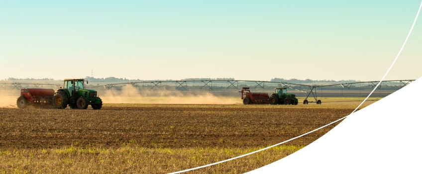 irrigação na lavoura de arroz