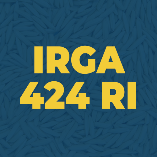 irga_424-RI