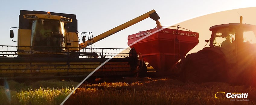 crise oportunidade sementes de arroz covid19